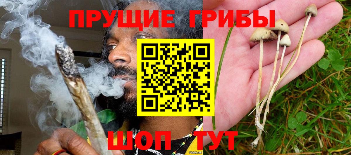 Галлюциногенные грибы MAGIC MUSHROOMS Новоуральск